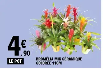 E.Leclerc BROMÉLIA MIX CÉRAMIQUE COLORÉE 11CM offre