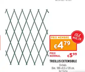 Treillis Extensible