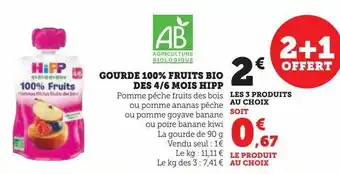 Super U Gourde 100% fruits bio des 4/6 mois hipp offre