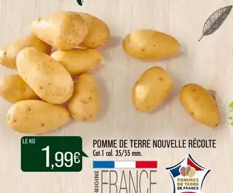 Match Pomme de terre nouvelle récolte offre