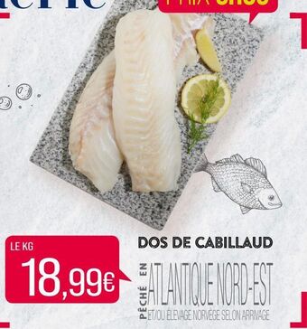 Match Dos de cabillaud offre