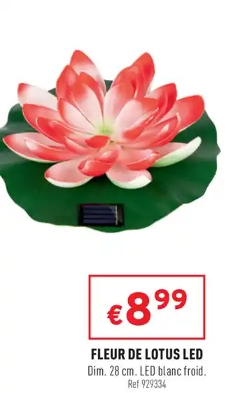 Fleur De Lotus Led