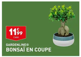 ALDI Gardenline bonsaï en coupe offre