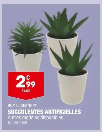 ALDI Home creation succulentes artificielles offre