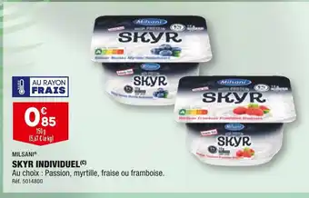 ALDI Milsani skyr individuel offre