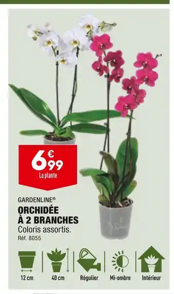 ALDI Gardenline orchidée à 2 branches offre