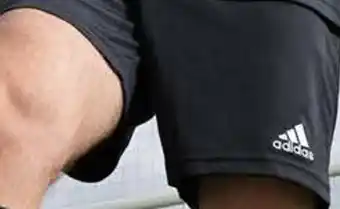 Adidas short d’entraînement