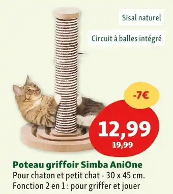 Maxi Zoo Anione poteau griffoir simba offre