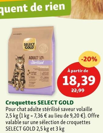 Select gold croquettes