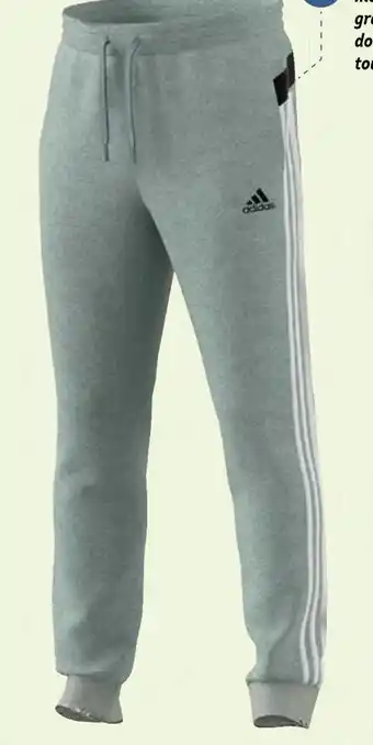 Sport 2000 Adidas pantalon offre