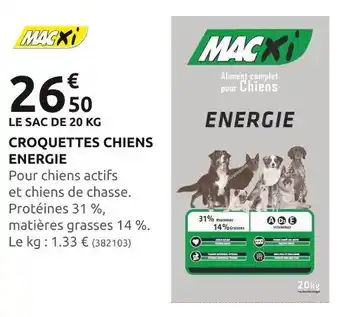 Rural Master Macxi croquettes chiens energie offre