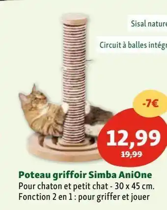 Maxi Zoo Poteau pour chaton offre
