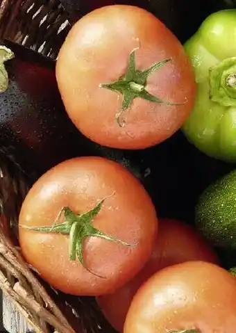Géant Casino Tomate allongée Torino offre