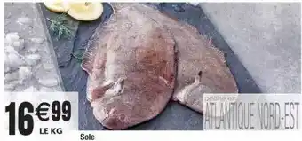 Sole