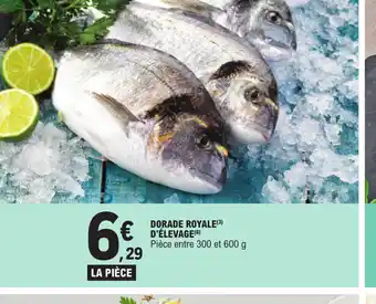 E.Leclerc DORADE ROYALE(3) D'ÉLEVAGE(6) offre