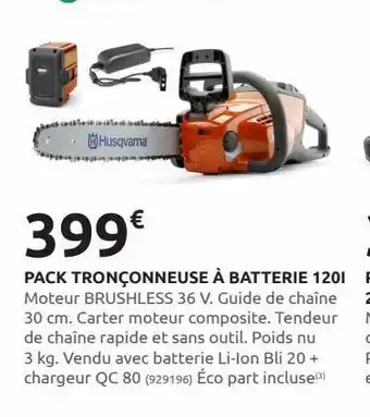 Rural Master Pack tronçonneuse à batterie 120l offre