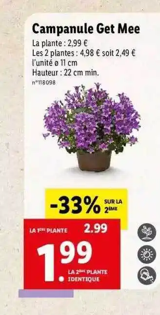 Lidl Campanule Get Mee offre
