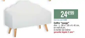 Cora x Carrefour Coffre "nuage" offre