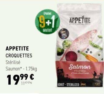 Tom&Co APPETITE CROQUETTES offre