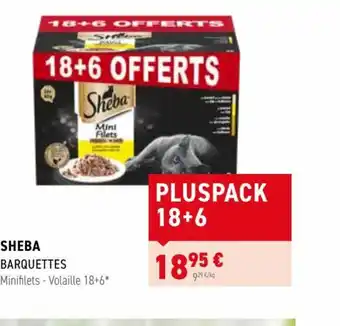 SHEBA BARQUETTES