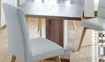 Conforama Chaise Ines offre