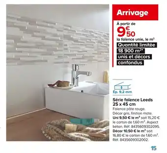 Castorama Série faïence Leeds 25 x 45 cm offre