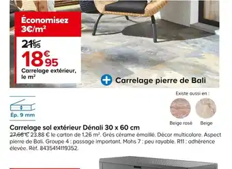 Castorama Carrelage sol extérieur Dénali 30 x 60 cm offre