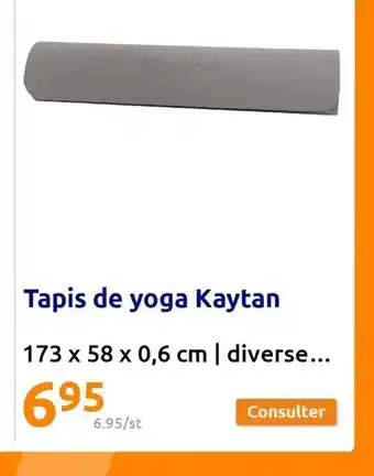 Action Tapis de yoga Kaytan offre