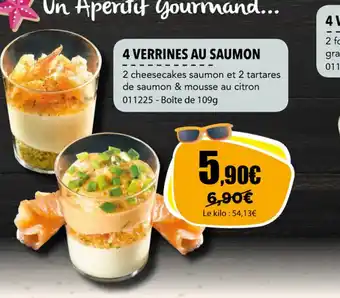 Gel 2000 4 VERRINES AU SAUMON offre