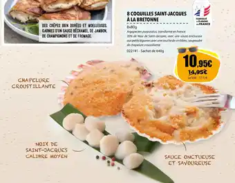 8 COQUILLES SAINT-JACQUES Ă LA BRETONNE