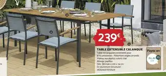 Bricomarché TABLE EXTENSIBLE CALANQUE Table rectangulaire extensible pour offre
