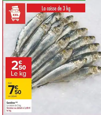 Carrefour Sardine (m) offre