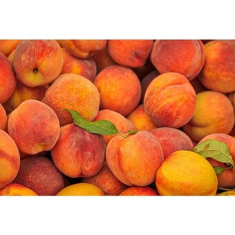 Carrefour Pêche blanche filière qualité carrefour offre