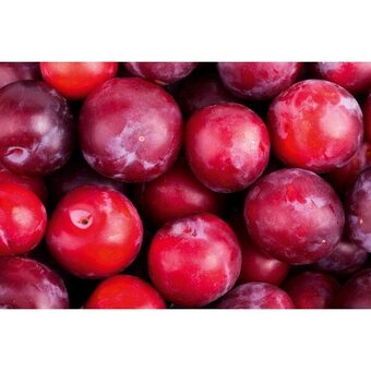 Carrefour Prune rouge offre