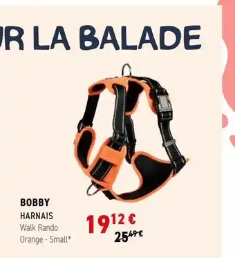 Bobby harnais