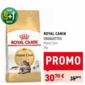 Tom&Co Royal canin croquettes offre