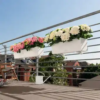 Gamm vert Jardinière lechuza balconera trend l80 h19 cm blanc offre