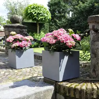 Gamm vert Bac à fleurs en fibre de terre cubi l28 h28 cm gris offre