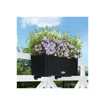 Gamm vert Jardinière lechuza balconera cottage l50 h19 cm graphit offre