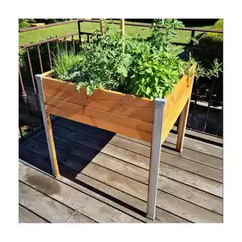 Gamm vert Carré potager en bois sur pied l60 x l.65 cm mon petit potager offre