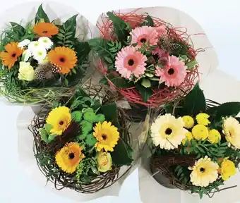 Géant Casino Bouquet Pascaline, 10 tiges offre