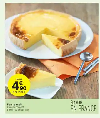 Flan Nature