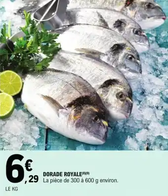 DORADE ROYALE(8) (9)
