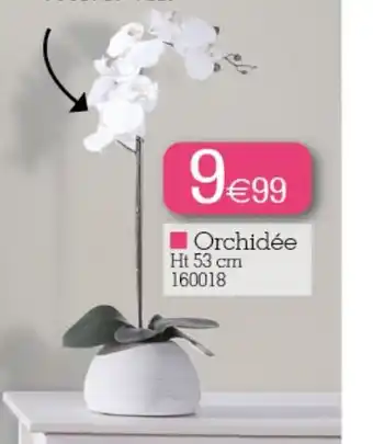 Orchidée