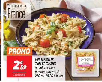 Netto MINI FARFALLES THON ET TOMATES ou mini penne tomate mozzarella 250 g - 10,36 € le kg offre