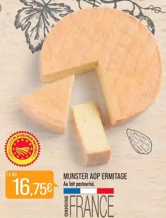 Match Munster aop ermitage offre