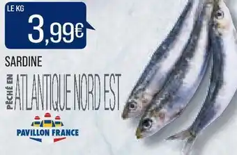 Match Sardine offre