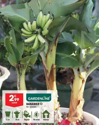 ALDI BANANIER offre