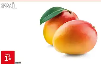 Auchan Supermarché MANGUE Catégorie 1 offre