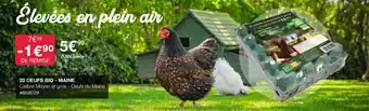 Costco 20 OEUFS BIO - MAINE offre
